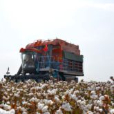 High Efficiency Self-propelled Cotton Picker