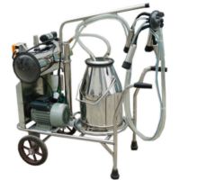 Industrial 25L Electric Portable Two